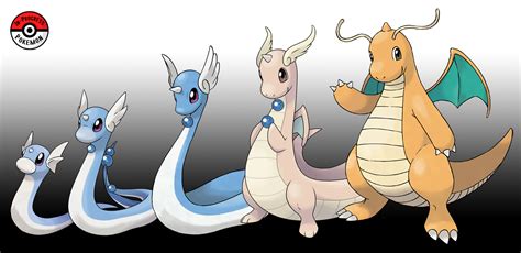 dratini evolve|More.